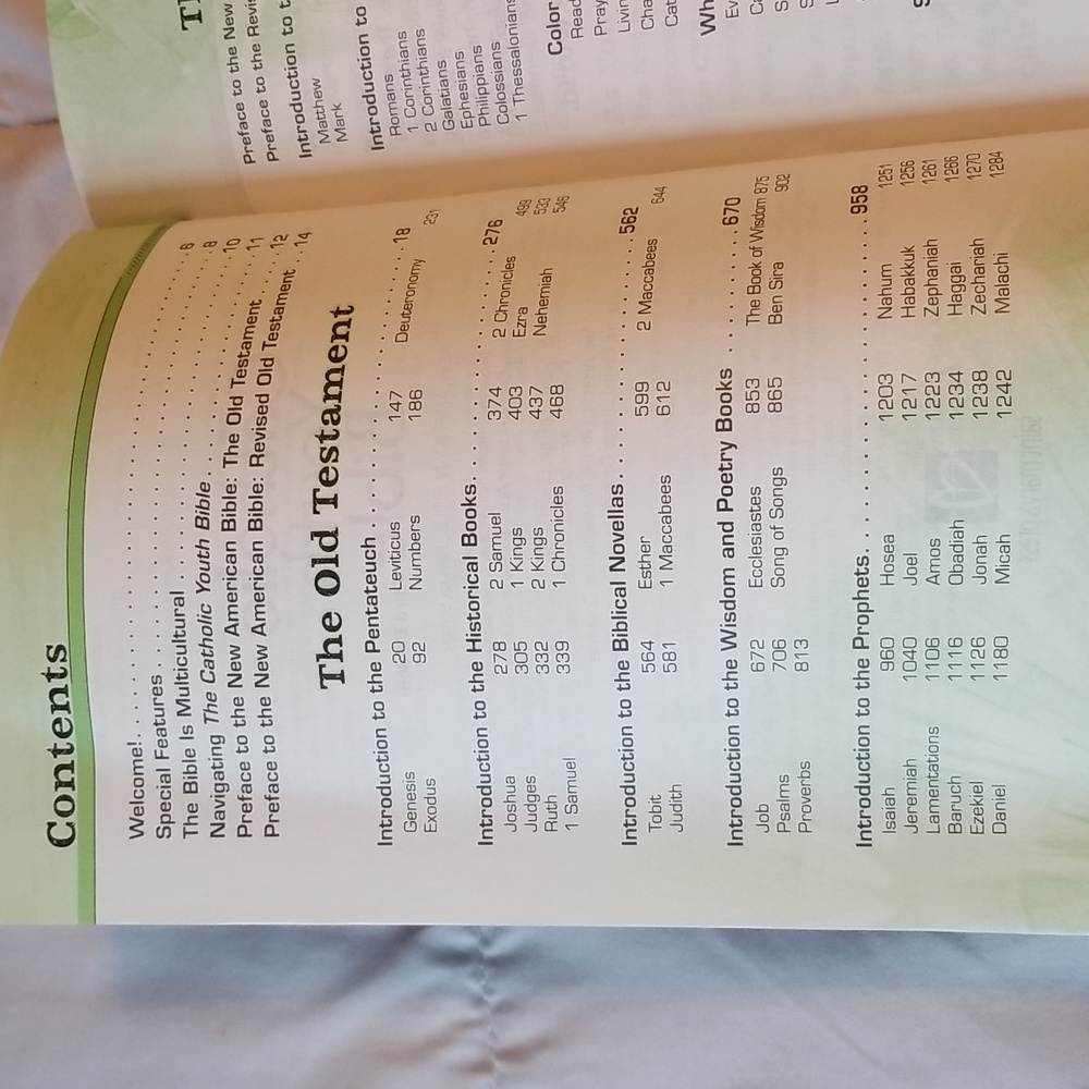Catholic Youth Bible - Picture 7 of 11